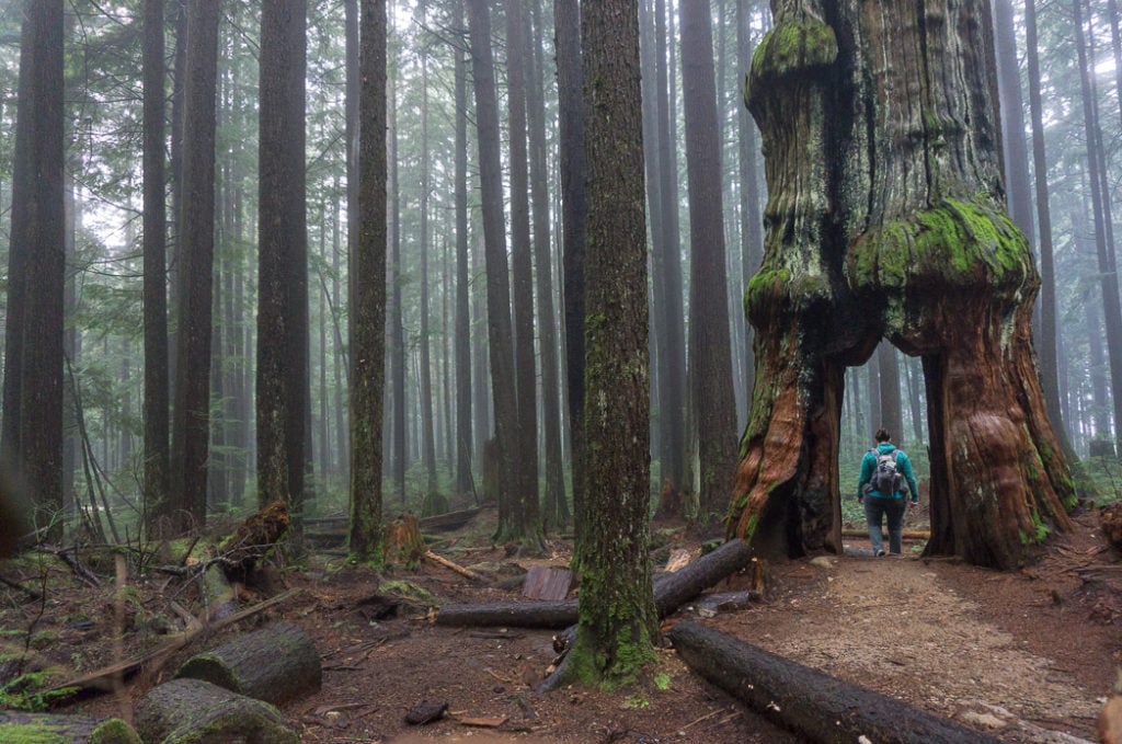 Hiking in North Vancouver, BC, Canada