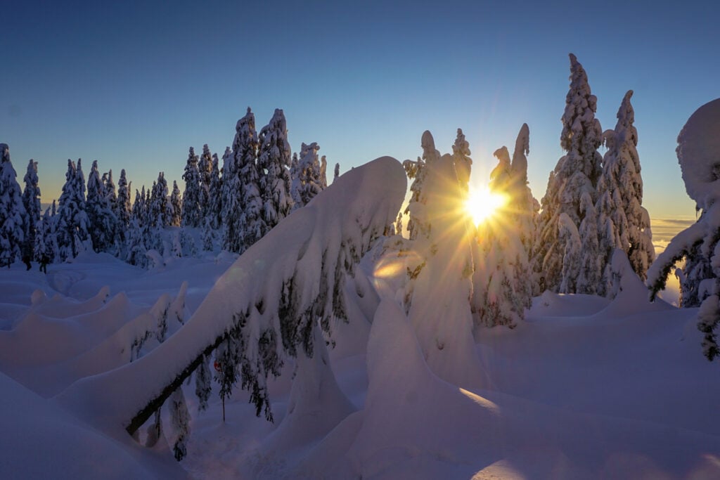 The sun sets behind snow covered trees on Grouse Mountain near Vancouver. It's a popular place for snowshoeing in Vancouver