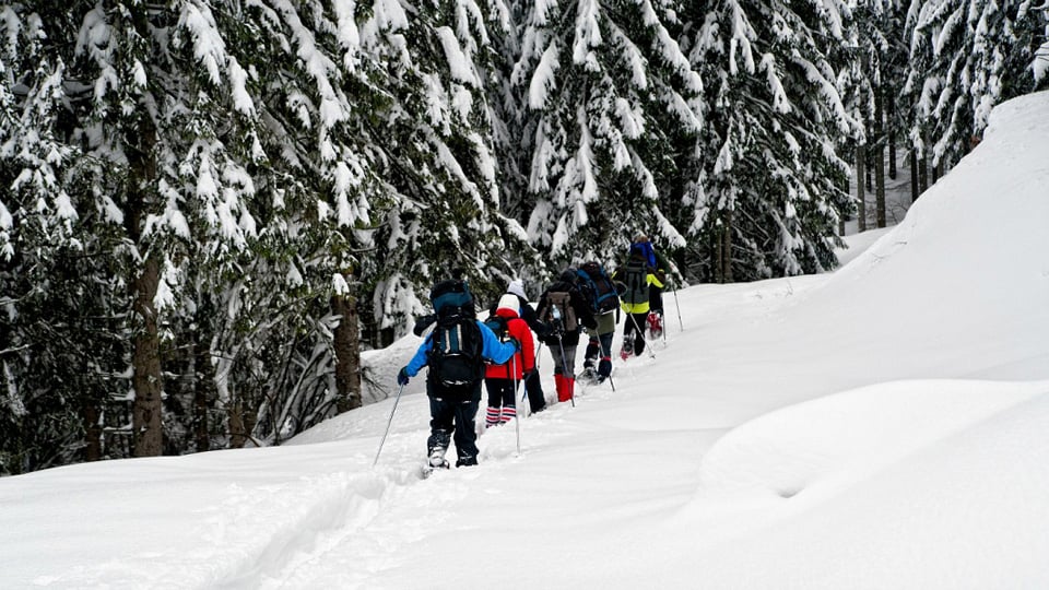 Snowshoeing on the Shannon Basin Loop at the Sea to Sky Gondola in Squamish, BC. The Ultimate Guide to Snowshoeing in Squamish.