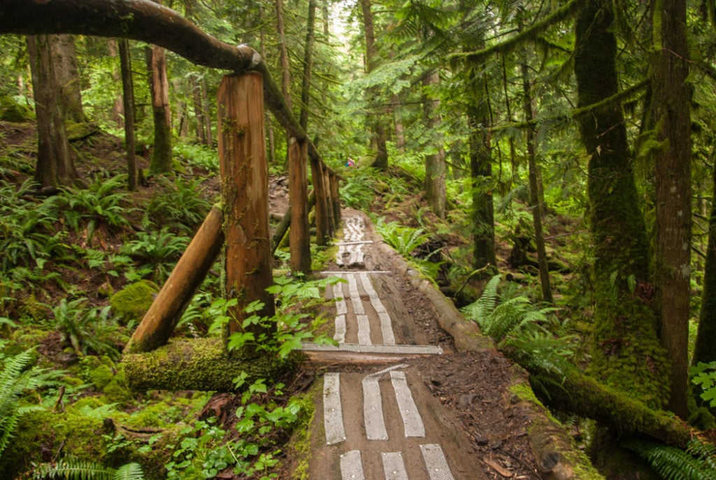 Hiking Trails to Explore Year-Round