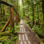 Log bridge on the Norvan Falls trail near Vancouver, BC. One of over 100 snow-free hikes near Vancouver