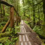 Log bridge on the Norvan Falls trail near Vancouver, BC. One of over 100 snow-free hikes near Vancouver