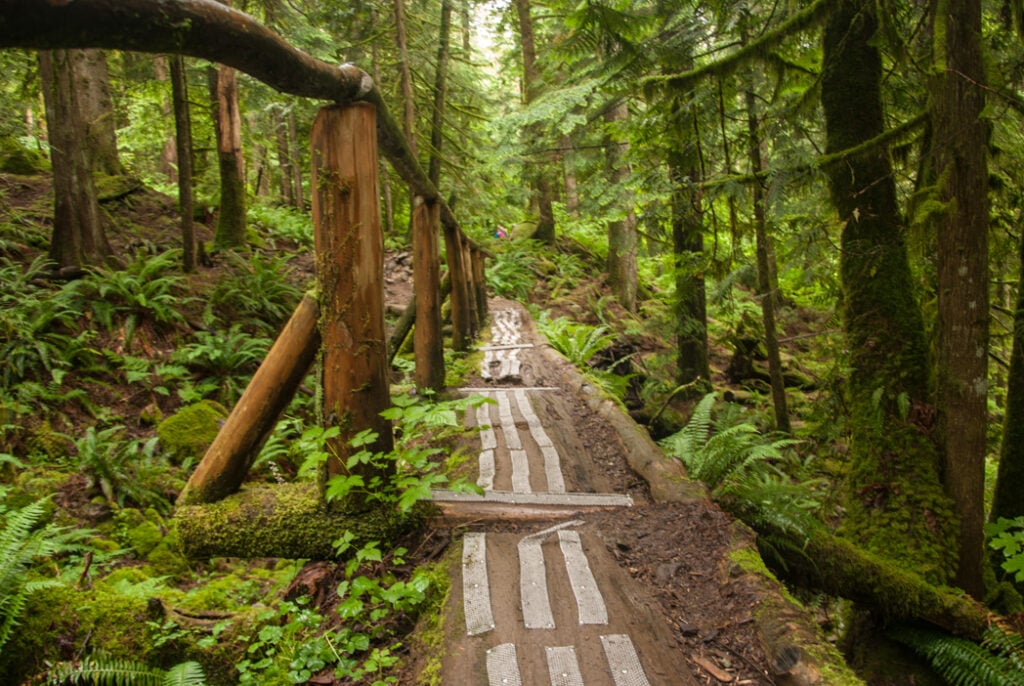 Log bridge on the Norvan Falls trail near Vancouver, BC. One of over 100 snow-free hikes near Vancouver