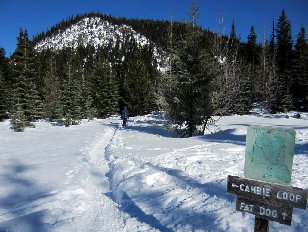 Trailhead for the Fat Dog Snowshoe Trail in Manning Park. Read about how to snowshoe here in the Ultimate Guide to Snowshoeing in Manning Park near Vancouver, BC, Canada