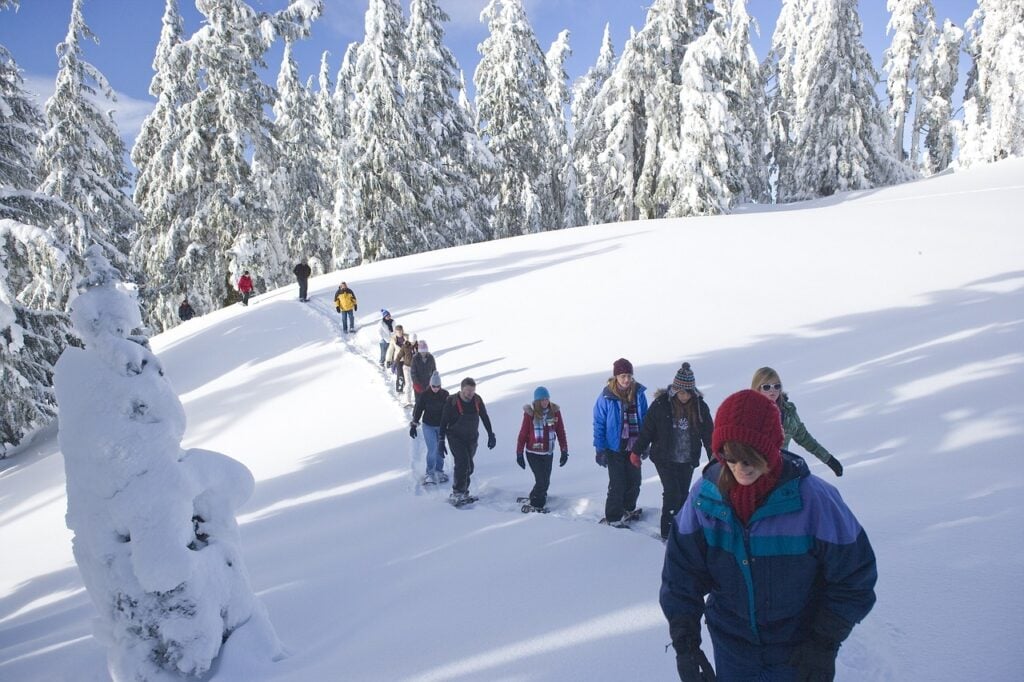 Where to Go Snowshoeing in Manning Park, BC