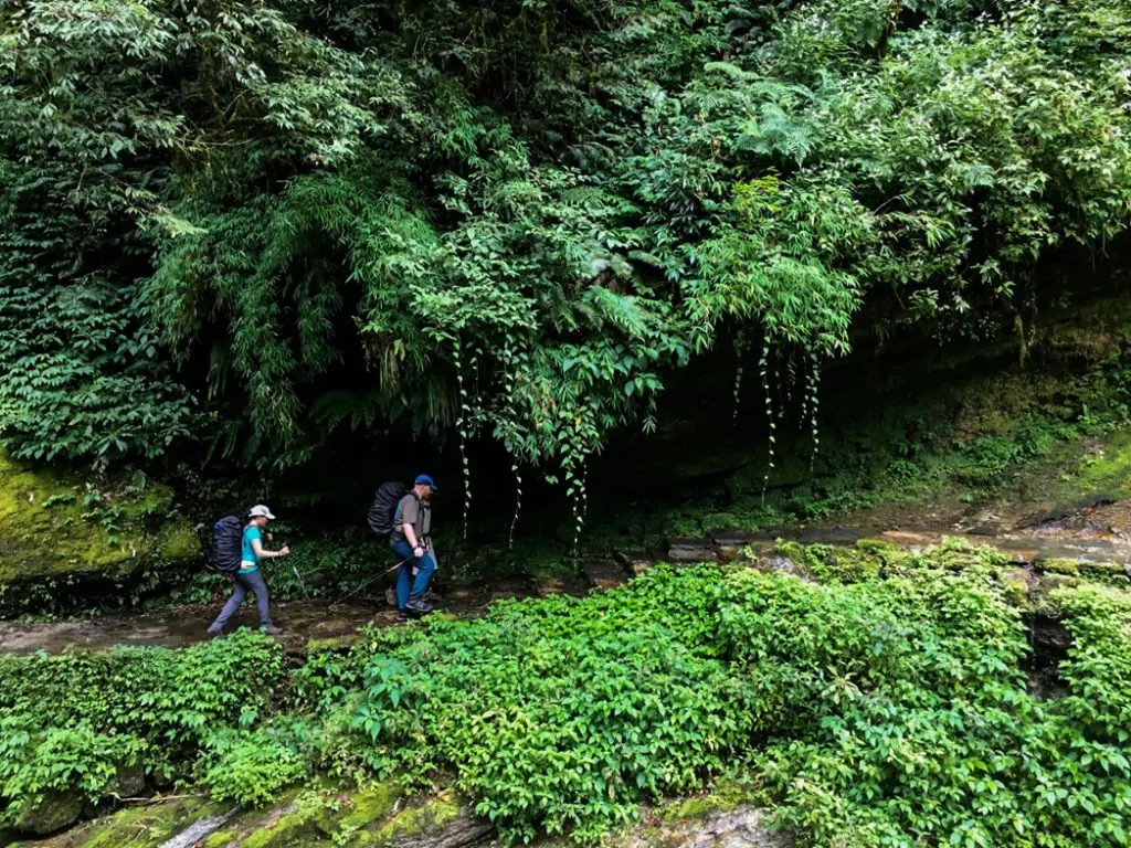 Trekking through the jungle at lower elevations on the Annapurna Base Camp trek. What to pack for the Annapurna Base Camp Trek in Nepal.