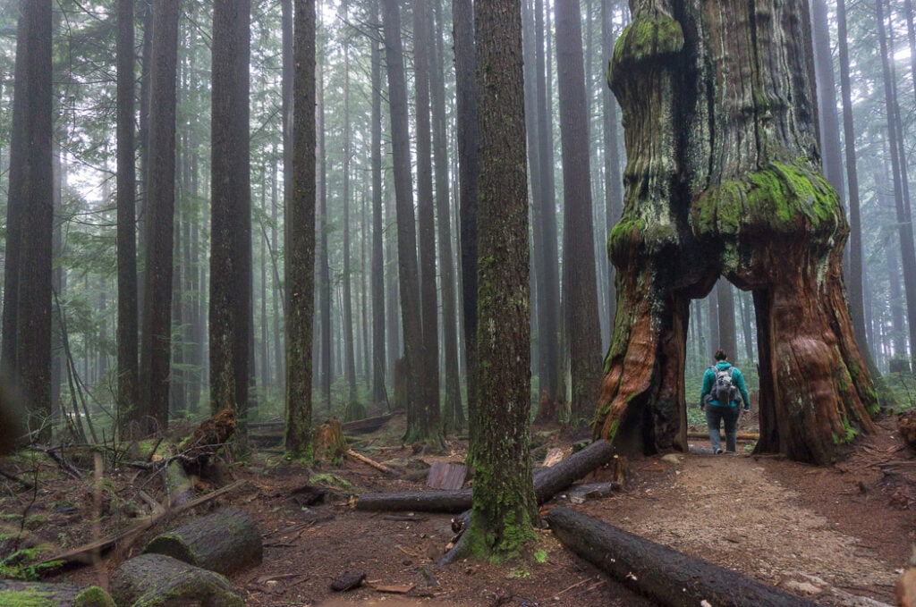 15 Unusual Hikes Near Vancouver