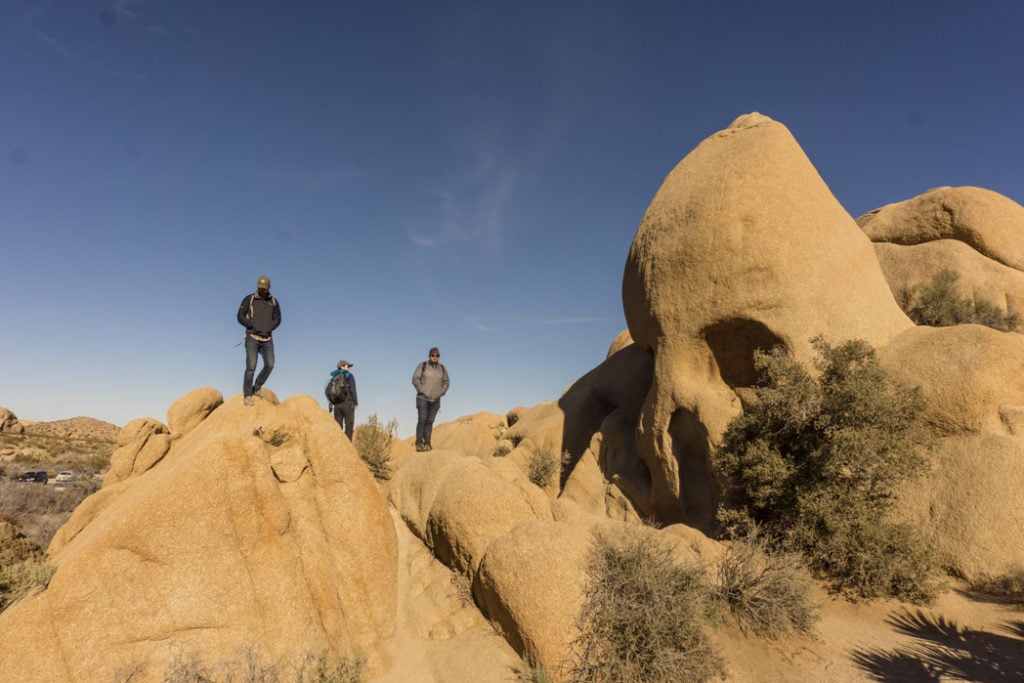 Skull rock in Joshua Tree National Park, one of 15 awesome things to do in Joshua Tree. Add visiting Skull Rock to your Joshua Tree bucketlist.