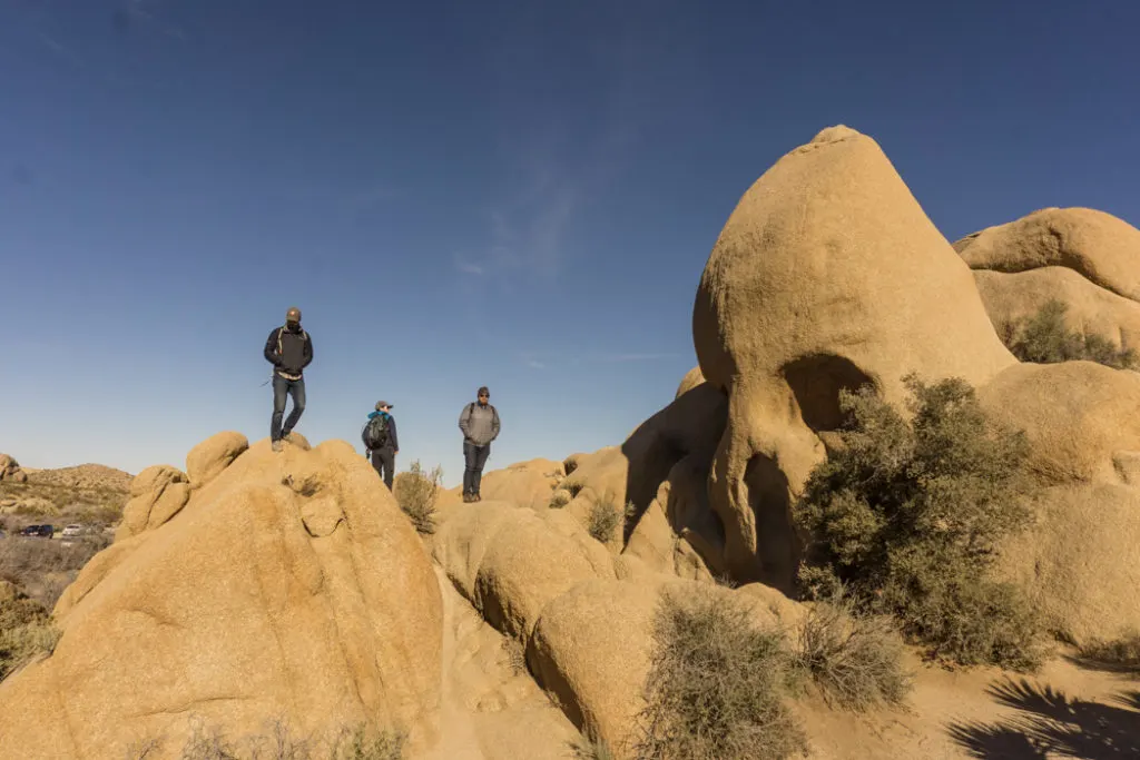 Skull rock in Joshua Tree National Park, one of 15 awesome things to do in Joshua Tree. Add visiting Skull Rock to your Joshua Tree bucketlist.