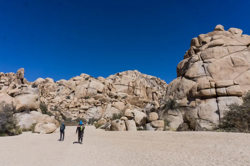 Hiking to the Willow Hole in Joshua Tree National Park one of 15 awesome things to do in Joshua Tree. Add hiking to your Joshua Tree bucketlist.