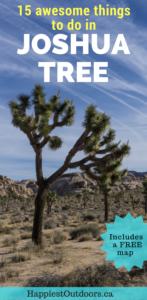 15 Awesome things to do in Joshua Tree National Park in California, USA. Includes the best hikes, where to get the best views, how to see the stars and so much more