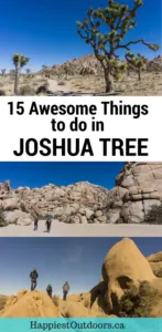 15 Awesome things to do in Joshua Tree National Park in California, USA. Includes the best hikes, where to get the best views, how to see the stars and so much more