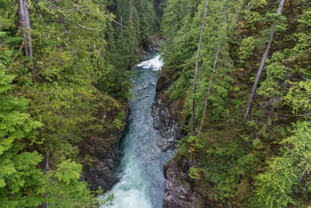 The deep canyon of the Gordon River near Big Lonely Doug. Visit Big Lonely Doug, Avatar Grove and the other big trees near Port Renfrew, British Columbia.