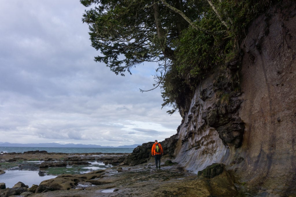 Explore Botanical Beach at low tide on the Pacific Marine Circle Route.