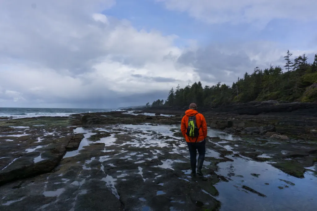 There are endless tide pools at Botanical Beach. Explore them as part of a road trip on the Pacific Marine Circle Route on Vancouver Island.