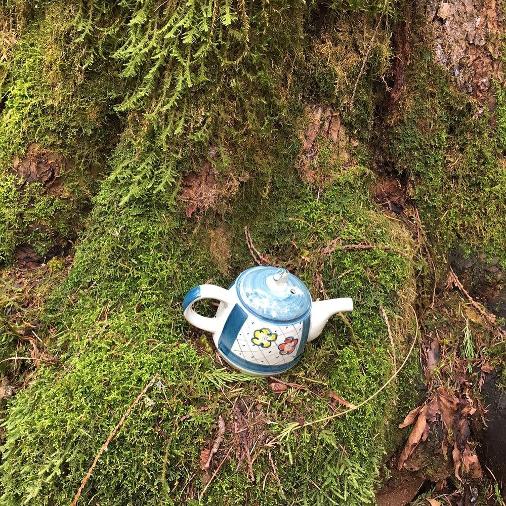 A teapot along the Teapot Hill trail in Chilliwack. Just one of 15 unusual hikes near Vancouver.