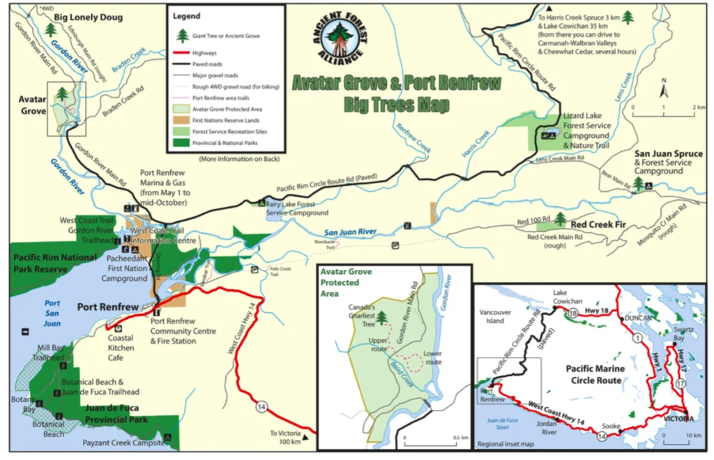 A map showing Avatar Grove, Big Lonely Doug and more from the Ancient Forest Alliance. Visit Big Lonely Doug, Avatar Grove and the other big trees near Port Renfrew, British Columbia.