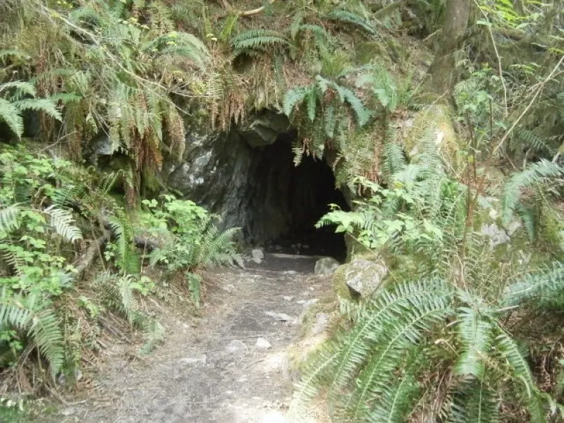 The tunnel on the Fisherman's Trail in the Lower Seymour Conservation Reserve in North Vancouver. Just one of 15 unusual hikes near Vancouver.