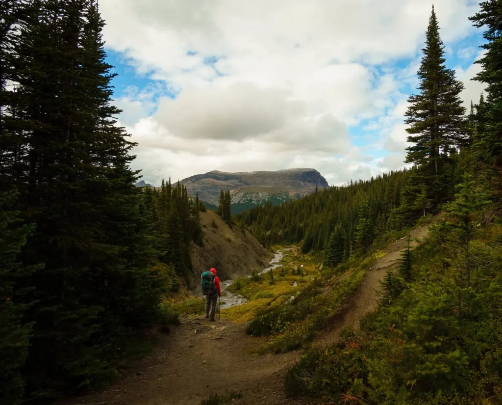 Best Multi-day Pack for Petite and Curvy Women: Osprey Viva 65. Learn how to find women's hiking backpacks and hiking gear for your body type.