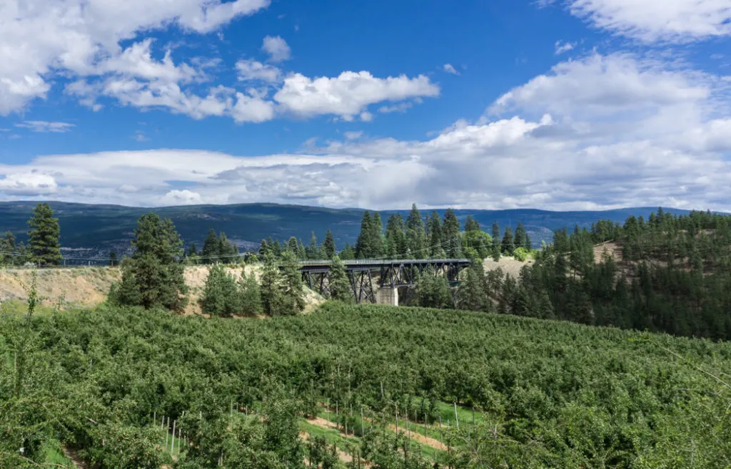 Trout Creek Trestle in Summerland, BC. Explore Summerland's wineries by bike with this self-guided tour.
