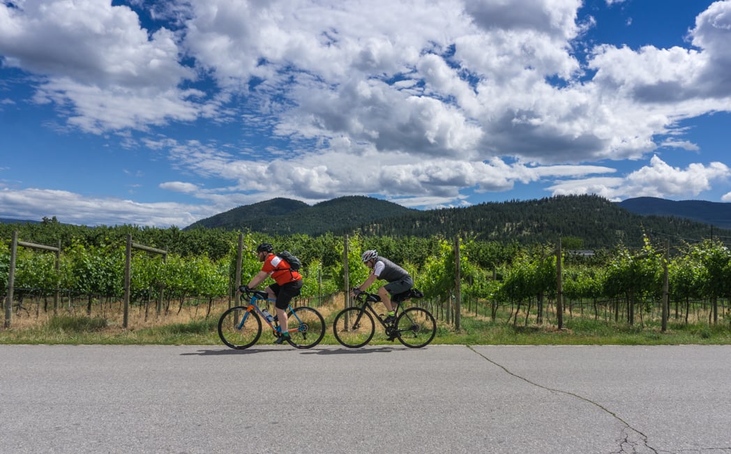 Exploring Summerland's Wineries by bike