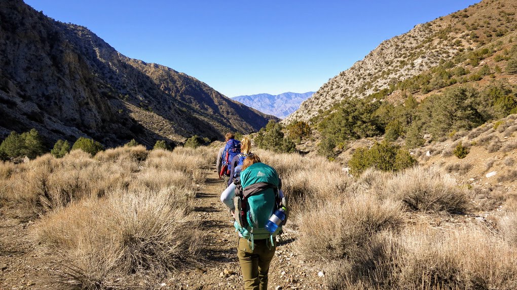 Hiking in Death Valley in California. Get tips for hiking in the desert including what gear you need, what to wear and how to stay safe.
