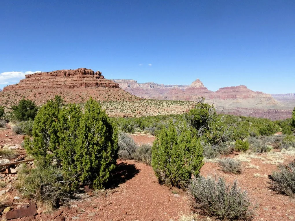 Hiking in the Grand Canyon. Get tips for hiking in the desert including what gear you need, what to wear and how to stay safe.