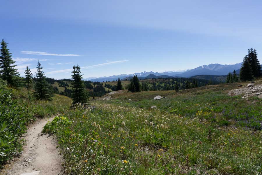 The Heather Trail in Manning Provincial Park - one of the best hikes in Vancouver