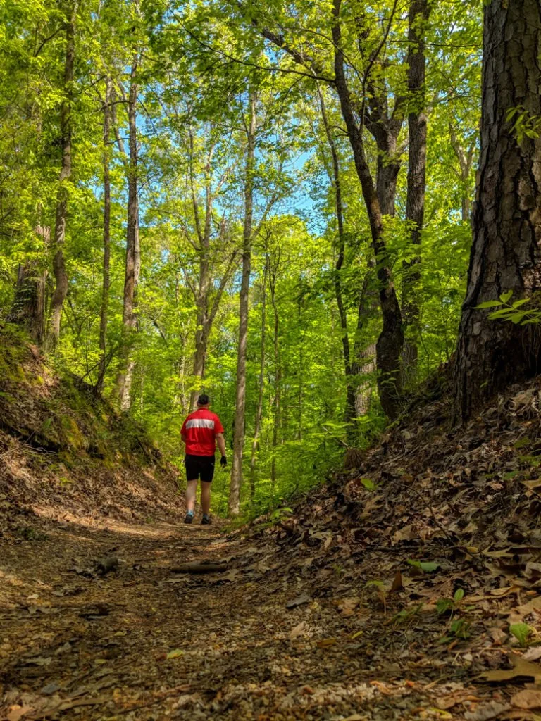 Walking a section of the historical old Natchez Trace. Learn how to cycle tour the Natchez Trace Parkway in this detailed guide.