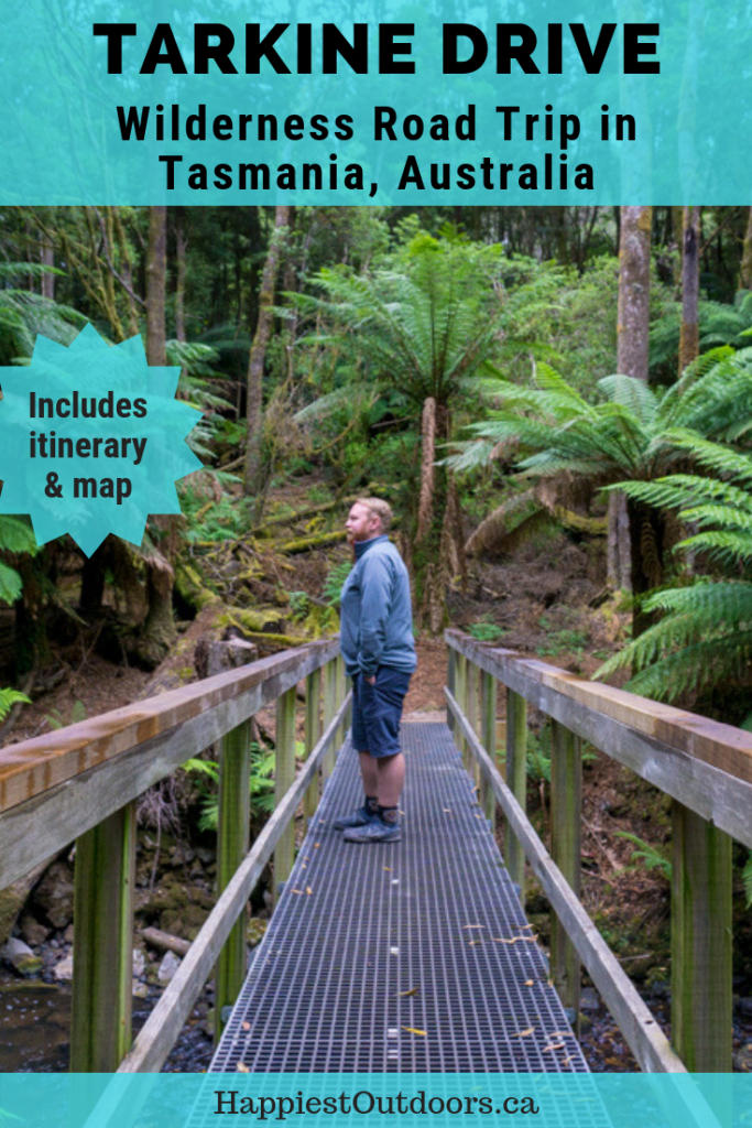 The Ultimate Guide to the Tarkine Drive in Tasmania, Australia. A wilderness road trip with old growth forests, deserted beaches and aboriginal heritage.