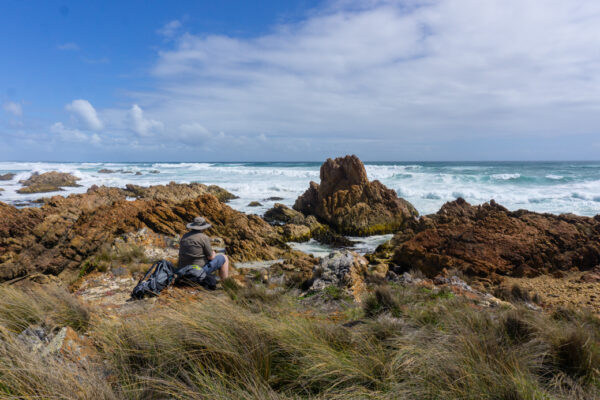 The Ultimate Guide to the Tarkine Drive in Tasmania, Australia