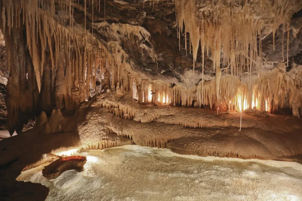 Mole Creek Caves in North West Tasmania. Just one of over 40 things to do in Devonport and Tasmania's North West.