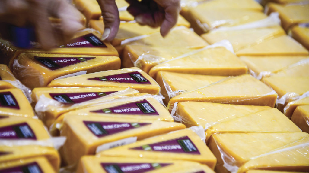 Ashgrove Cheese near Devonport, Tasmania. Just one of over 40 things to do in Devonport and Tasmania's North West.