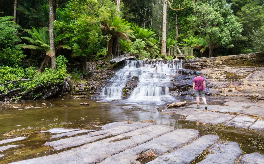 A hiker stands in front of Upper Liffey Falls in Tasmania