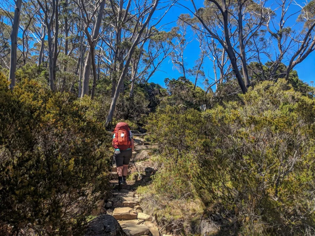 Heading towards Du Cane Gap on the Overland Track. Get your info on the standard 6-Day Overland Track Itinerary plus lots of itinerary options for 4 to 12 day trips.