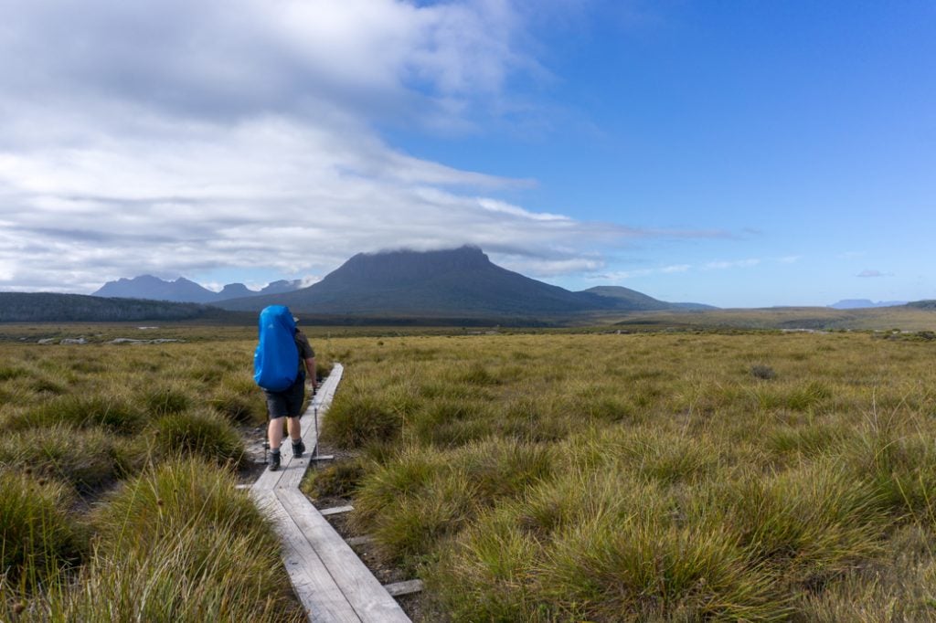 Walking across buttongrass plains on the third Overland Track section from Windermere to Pelion