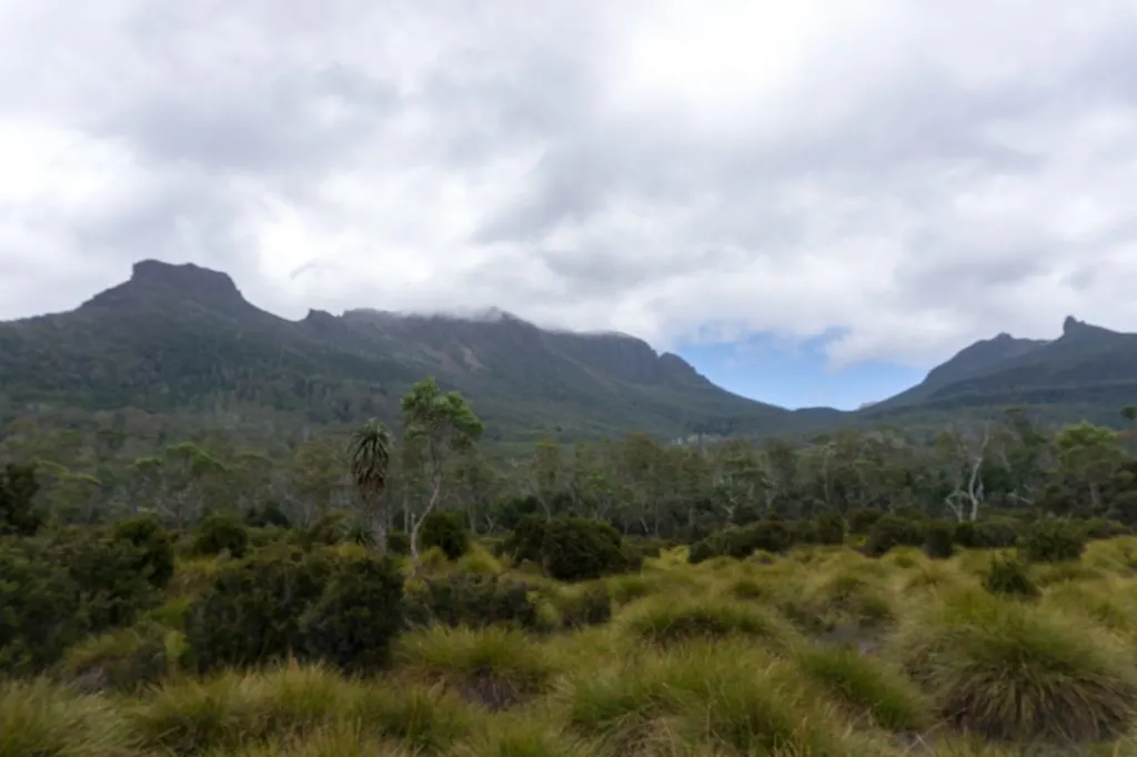 The view from Frog Flats on the Overland Track. This is the only Overland Track campground that isn't next to a hut.