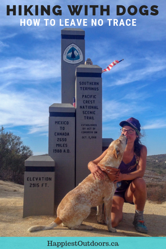 Going hiking and camping with your dog? Learn how to apply the Leave No Trace principles to your dog so you can keep the wilderness wild. Written by a PCT thru-hiker who hiked the whole trail with her dog. Trail etiquette with dogs. Dog hiking tips. Leave No Trace with dogs. #hikingwithdogs #Campingwithdogs #LeaveNoTrace