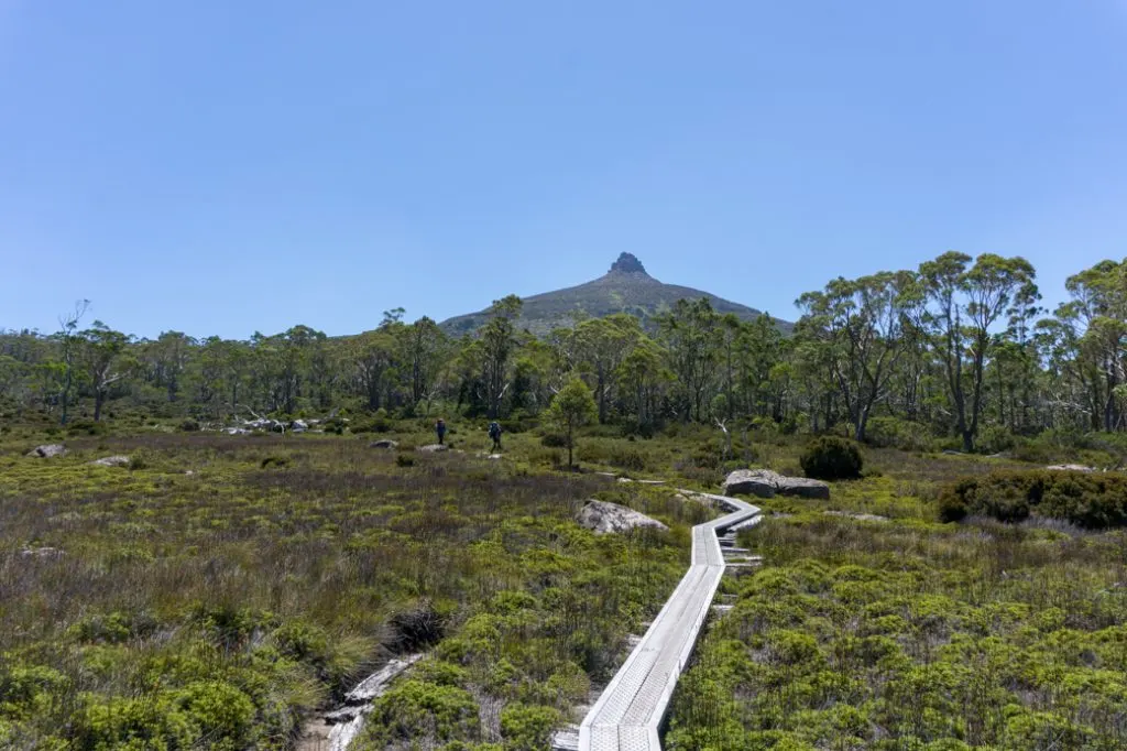 Mount Pelion East is next to Mount Ossa, but is a much less popular side trip from the Overland Track.