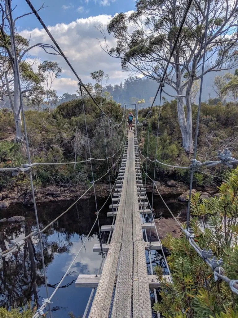 The suspension bridge over the Narcissus River on the 6th Overland Track section from Windy Ridge to Narcissus