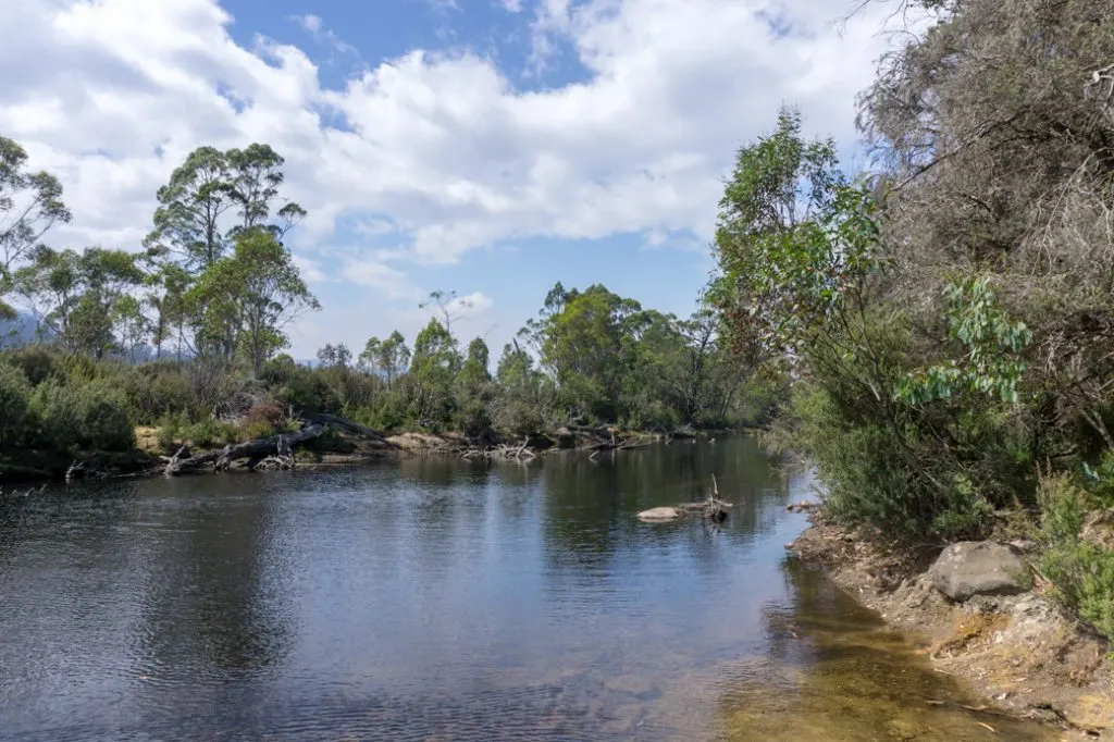 The Narcissus River near the Narcissus Hut on the Overland Track.