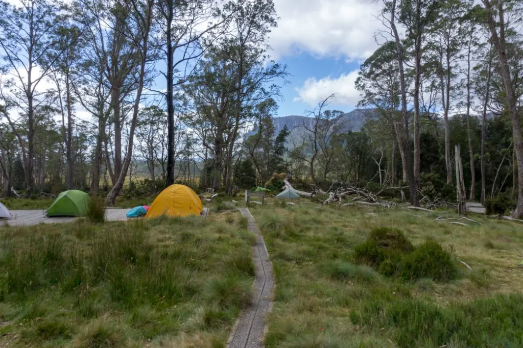 Pelion campground on the Overland Track.