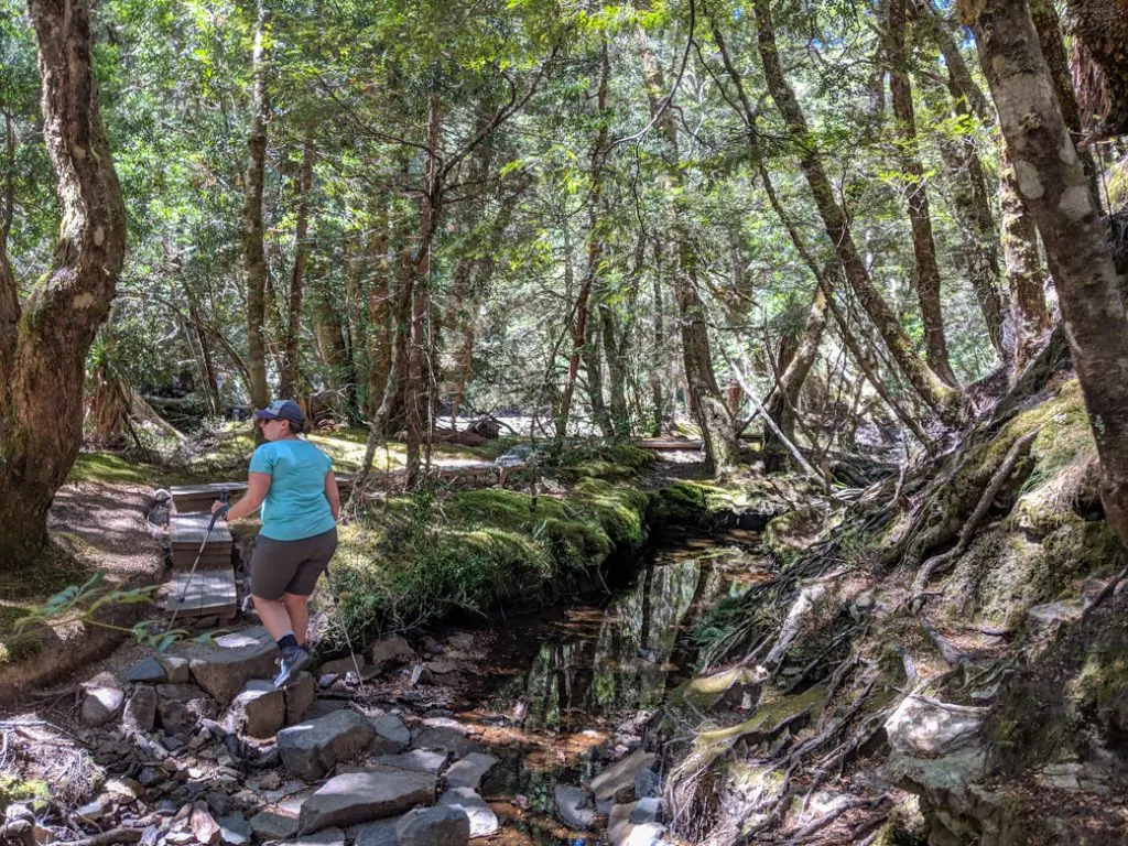 Good hiking boots are important on the Overland Track