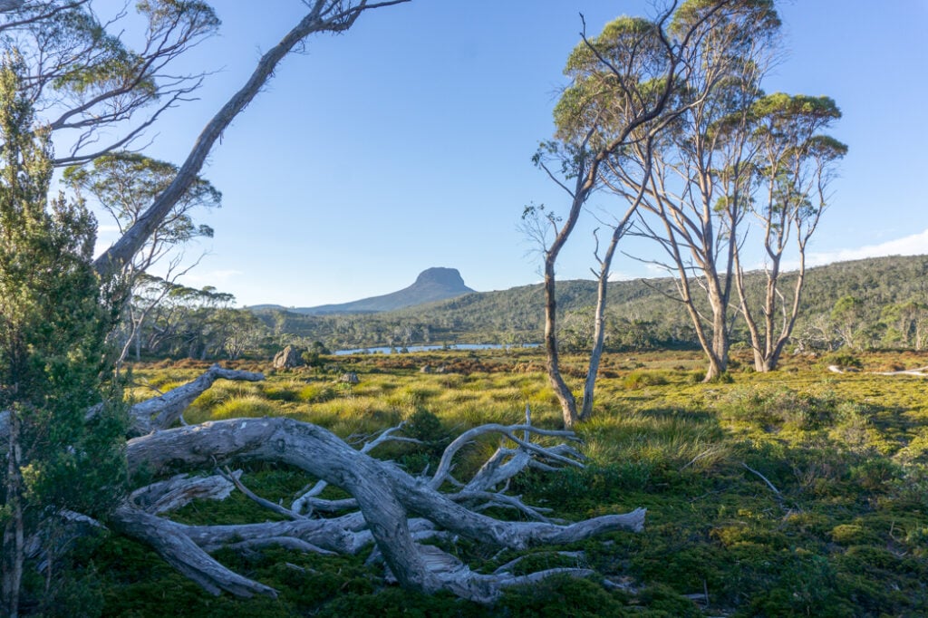 Hiking the Overland Track in Tasmania