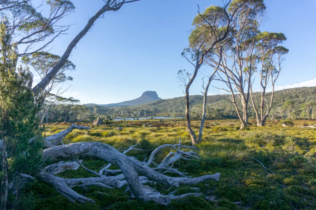 The view of Barn Bluff from the Windermere campground on the Overland Track