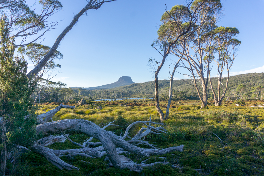 overland track sleeping bag