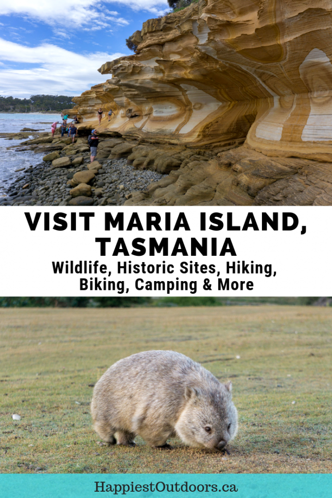 Your guide to visiting Maria Island, Tasmania, Australia. It's the best place in Tasmania to see wildlife including wombats, wallabies, pademelons, kangaroos and Tasmanian devils. It also has one of Tasmania's most intact convict historical sites, Darlington Probation Station. If you love the outdoors, you'll love the hiking, biking and camping too. #MariaIsland #Tasmania #Australia