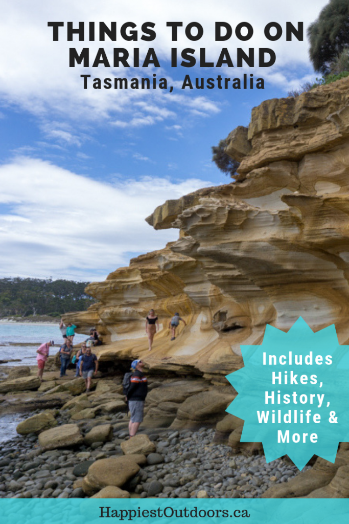 Visit Maria Island, Tasmania, Australia. It's like a mini-Tasmania with friendly wildlife, great hiking, biking and camping and lots of historic sites from the convict era. #MariaIsland #Tasmania #Australia