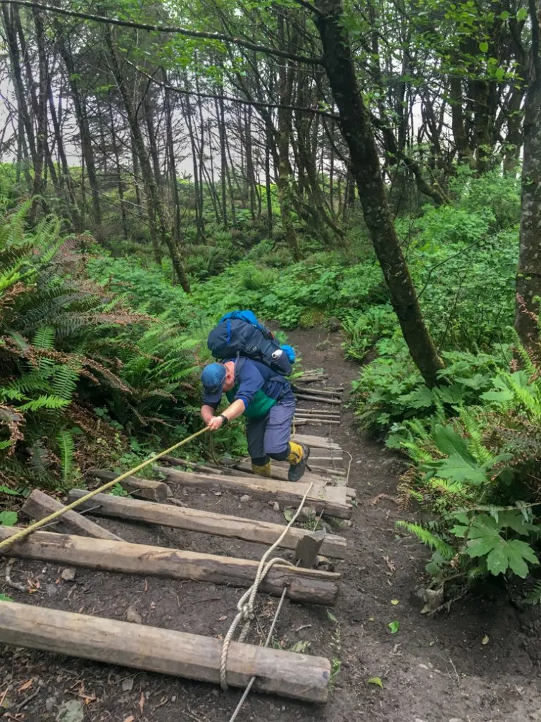 Ladder on the trail from Third Beach to Toleak Point in Olympic National Park