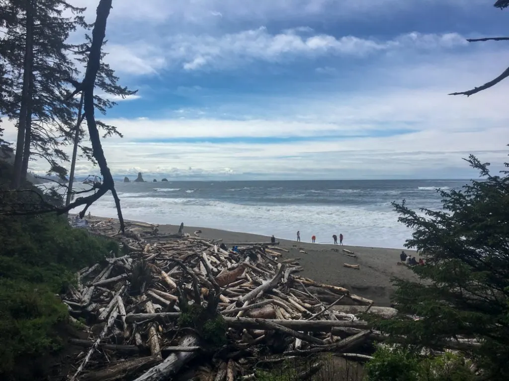 Third Beach in Olympic National Park